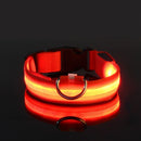 Coleira Iluminada para Pets – Nylon com LED