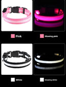 Coleira Iluminada para Pets – Nylon com LED