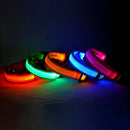 Coleira Iluminada para Pets – Nylon com LED