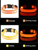 Coleira Iluminada para Pets – Nylon com LED