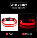 Coleira Iluminada para Pets – Nylon com LED