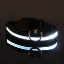 Coleira Iluminada para Pets – Nylon com LED