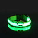 Coleira Iluminada para Pets – Nylon com LED