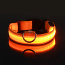 Coleira Iluminada para Pets – Nylon com LED