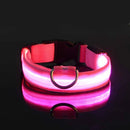 Coleira Iluminada para Pets – Nylon com LED