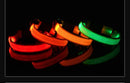 Coleira Iluminada para Pets – Nylon com LED