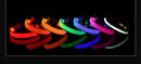 Coleira Iluminada para Pets – Nylon com LED