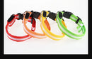 Coleira Iluminada para Pets – Nylon com LED