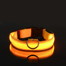 Coleira Iluminada para Pets – Nylon com LED