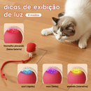 Bola Inteligente Interativa para Gatos e Cães – Movimento Automático 360° com LED e Cabo Recarregável