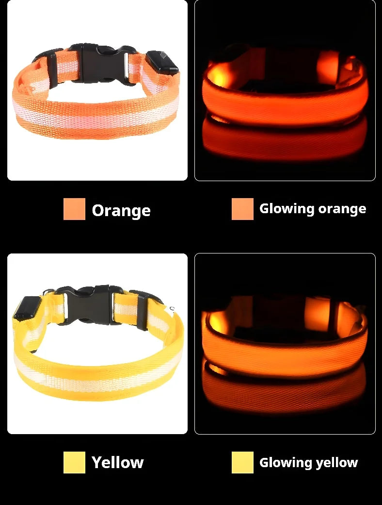 Coleira Iluminada para Pets – Nylon com LED