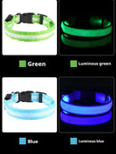 Coleira Iluminada para Pets – Nylon com LED