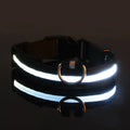 Coleira Iluminada para Pets – Nylon com LED