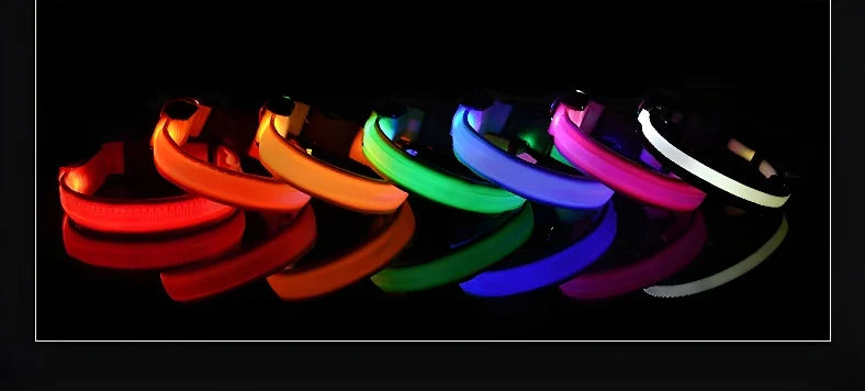 Coleira Iluminada para Pets – Nylon com LED