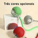 Bola Inteligente Interativa para Gatos e Cães – Movimento Automático 360° com LED e Cabo Recarregável