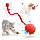 Bola Inteligente Interativa para Gatos e Cães – Movimento Automático 360° com LED e Cabo Recarregável